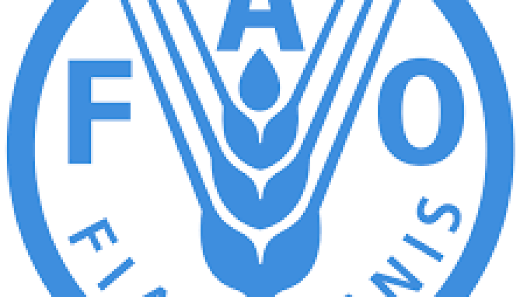 National Specialist–Stakeholder Engagement and Monitoring, Evaluation and Learning (MEL) Vacancy-Job Ref: JKZMFAO/2006/202479